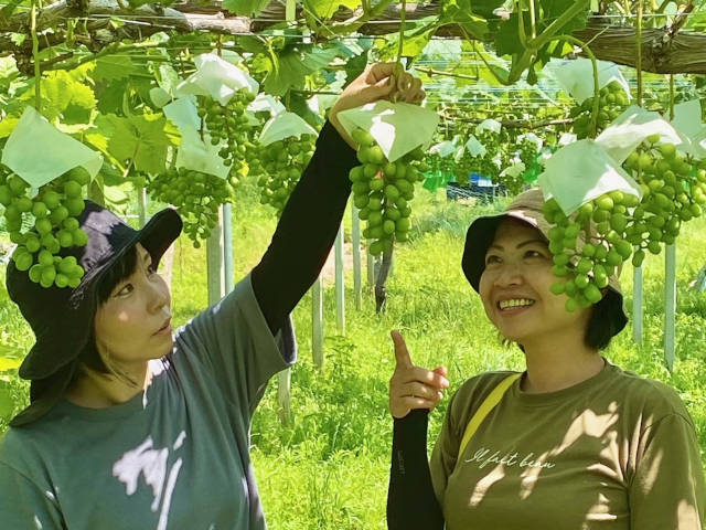 サンプルイメージ